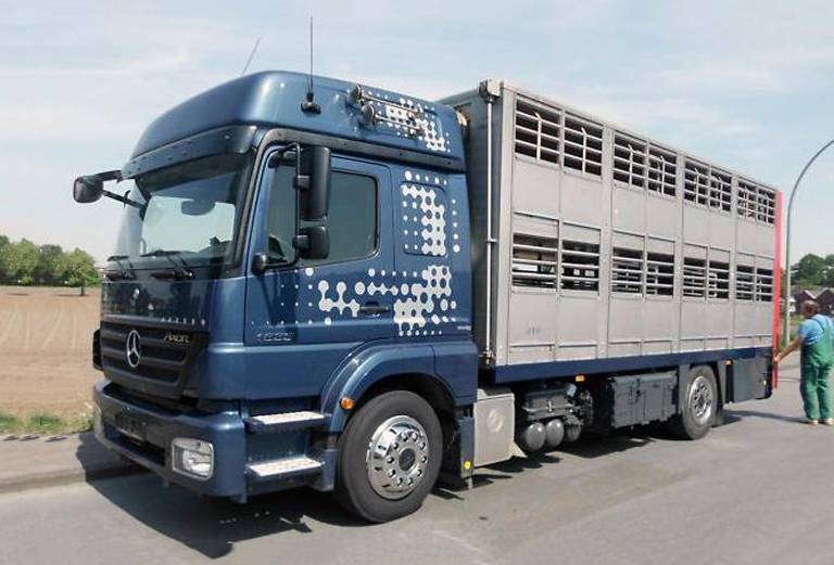 Доставка лошади автотранспортом из Иркутска в Барнаул